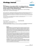 Báo cáo khoa học: The inhibition of assembly of HIV-1 virus-like particles by 3-O-(3',3'-dimethylsuccinyl) betulinic acid (DSB) is counteracted by Vif and requires its Zinc-binding domain