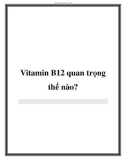 Vitamin B12 quan trọng thế nào