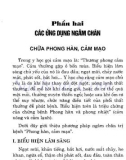 ngâm chân chữa bệnh tại nhà: phần 2