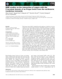 Báo cáo khoa học: NMR studies on the interaction of sugars with the C-terminal domain of an R-type lectin from the earthworm Lumbricus terrestris