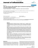 Báo cáo y học: The role of mast cells and fibre type in ischaemia reperfusion injury of murine skeletal muscles