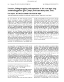 Báo cáo khoa học: Structure, linkage mapping and expression of the heart-type fatty acid-binding protein gene (fabp3 ) from zebraﬁsh (Danio rerio)