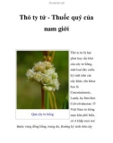 Thỏ ty tử - Thuốc quý của nam giới