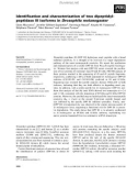 Báo cáo khoa học: Identiﬁcation and characterization of two dipeptidylpeptidase III isoforms in Drosophila melanogaster