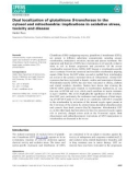 Báo cáo khoa hoc : Dual localization of glutathione S-transferase in the cytosol and mitochondria: implications in oxidative stress, toxicity and disease