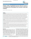 báo cáo khoa học: Origins of the amphiploid species Brassica napus L. investigated by chloroplast and nuclear molecular markers