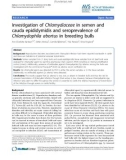 Báo cáo y học: Investigation of Chlamydiaceae in semen and cauda epididymidis and seroprevalence of Chlamydophila abortus in breeding bulls