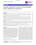 Báo cáo y học: Hepcidin expression in human airway epithelial cells is regulated by interferon-g