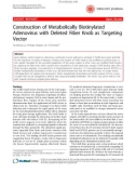 Báo cáo y học: Construction of Metabolically Biotinylated Adenovirus with Deleted Fiber Knob as Targeting Vector