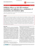 Báo cáo y học: Inhibitory effects on HAV IRES-mediated translation and replication by a combination of amantadine and interferon-alpha