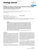 Báo cáo khoa học: Pichinde virus induces microvascular endothelial cell permeability through the production of nitric oxide