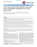 Báo cáo y học: Time course of nitric oxide synthases, nitrosative stress, and poly(ADP ribosylation) in an ovine sepsis model