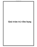 Quả trám trị viêm họng