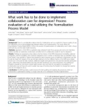 Báo cáo y học: What work has to be done to implement collaborative care for depression? Process evaluation of a trial utilizing the Normalization Process Model