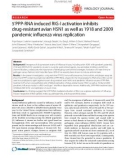 Báo cáo y học: 5'PPP-RNA induced RIG-I activation inhibits drug-resistant avian H5N1 as well as 1918 and 2009 pandemic influenza virus replication