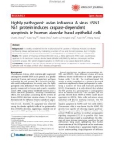 Báo cáo y học: Highly pathogenic avian influenza A virus H5N1 NS1 protein induces caspase-dependent apoptosis in human alveolar basal epithelial cells