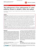 Báo cáo y học: The pathogenesis of low pathogenicity H7 avian influenza viruses in chickens, ducks and turkeys