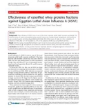 Báo cáo y học: Effectiveness of esterified whey proteins fractions against Egyptian Lethal Avian Influenza A (H5N1)