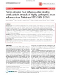 Báo cáo y học: Ferrets develop fatal influenza after inhaling small particle aerosols of highly pathogenic avian influenza virus A/Vietnam/1203/2004 (H5N1