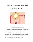 Mùa hè - Coi chừng bệnh viêm não Nhật Bản B