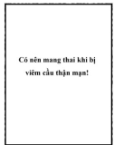 Có nên mang thai khi bị viêm cầu thận mạn!