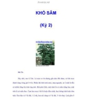 KHỔ SÂM (Kỳ 2)