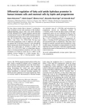 Báo cáo khoa học: Differential regulation of fatty acid amide hydrolase promoter in human immune cells and neuronal cells by leptin and progesterone