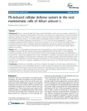 báo cáo khoa học: Pb-induced cellular defense system in the root meristematic cells of Allium sativum L