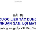 Dược liệu có tác dụng nhuận gan mật