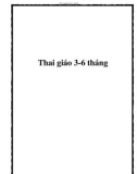 Thai giáo 3-6 tháng