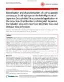 Báo cáo y học: Identification and characterization of a virus-specific continuous B-cell epitope on the PrM/M protein of Japanese Encephalitis Virus: potential application in the detection of antibodies to distinguish Japanese Encephalitis Virus infection from West Nile Virus and Dengue Virus infections