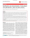 Báo cáo y học: Identification and characterization of duck plague virus glycoprotein C gene and gene product