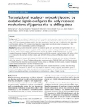 báo cáo khoa học: Transcriptional regulatory network triggered by oxidative signals configures the early response mechanisms of japonica rice to chilling stress