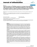 Báo cáo y học: Early Characterization of Toll-like receptors in primary lung epithelial cells: strong impact of the TLR3 ligand poly(I: C) on the regulation of Toll-like receptors, adaptor proteins and inflammatory response