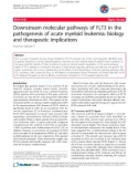 Báo cáo y học: Downstream molecular pathways of FLT3 in the pathogenesis of acute myeloid leukemia: biology and therapeutic implications