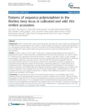 báo cáo khoa học: Patterns of sequence polymorphism in the fleshless berry locus in cultivated and wild Vitis vinifera accessions