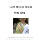 Cách cho con bú nơi công cộng