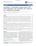 Báo cáo y học: Association of chemokine receptor gene (CCR2CCR5) haplotypes with acquisition and control of HIV-1 infection in Zambians