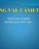 Bài giảng Giải phẫu học - Vùng vai, cánh tay