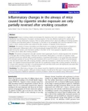 Báo cáo y học: Inflammatory changes in the airways of mice caused by cigarette smoke exposure are only partially reversed after smoking cessation