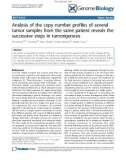 Báo cáo y học: Analysis of the copy number profiles of several tumor samples from the same patient reveals the successive steps in tumorigenesis