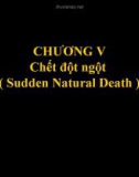 Chết đột ngột