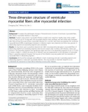 Báo cáo y học: hree-dimension structure of ventricular myocardial fibers after myocardial infarctio