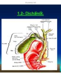 Bài giảng tiêu hóa ở dạ dày part 5