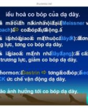 Bài giảng tiêu hóa ở dạ dày part 2