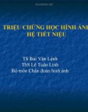 Hình ảnh hệ tiết niệu