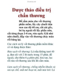 Dược thảo điều trị chấn thương