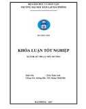 Đồ án tốt nghiệp ngành Kỹ thuật môi trường: Nghiên cứu một số yếu tố ảnh hưởng đến hiệu quả xử lý nước thải của bãi lọc ngầm trồng cây dòng chảy đứng công suất 3m3/ngày đêm