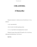 CHLAMYDIA (Chlamydia)