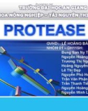 Đề tài: Protease